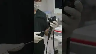 Шокирующая находка в желудке кошки! Как мы спасли питомца