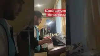 Юрий Шатунов -белые розы korg pa600