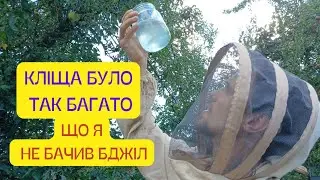 Кліща стільки що я не знаю що робити! Перші кроки до успішної земівлі! Як провести змив кліща!