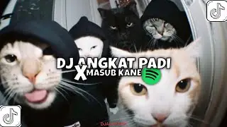 DJ ANGKAT PADI FULL VIRAL TIKTOK 2026 - ALDY RMX