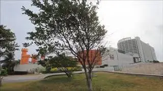 Great Parnassus Cancún / Viva Caribe México