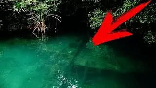 12 Most Amazing Abandoned Planes Found Recently
