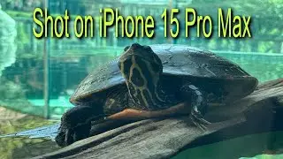 Shot On iPhone 15 Pro Max - Zoo Atlanta