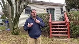 Winter Lawn Evaluation