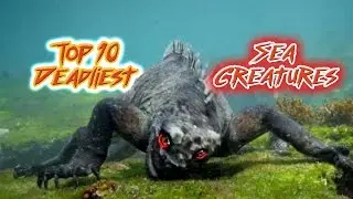 Top 10 Most Dangerous Sea Creatures
