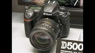 Nikon D500 Revisión en Español