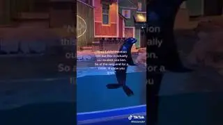 a little positive for you  part  18