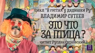 В ГОСТЯХ У ДЯДЮШКИ РУ ВЛАДИМИР СУТЕЕВ ЭТО ЧТО ЗА ПТИЦА?