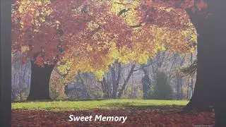 Sweet Memory　(original ensamble　Piano＆strings)