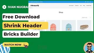 Bricks Builder: Simple Shrink Header