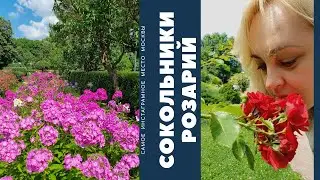 Жара в Москве || Цветочный рай в Сокольниках || Идеальное место для фотосессий ||