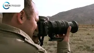 Safe haven for unique Armenian flora and fauna