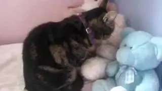 Flossie Pussy Tat