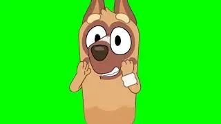 Whose Bat Is It Green Screen | Bluey Cricket