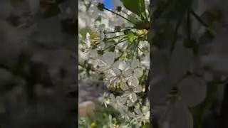 КРАСОТА РЯДОМ