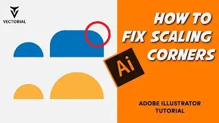 How to Fix Scaling Corner in Adobe Illustrator - Tutorial for beginners