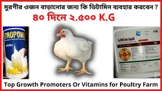 Top Growth Promoters Or Vitamins in Poultry Farm | Agriculture Tour