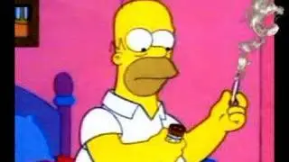 sony vegas homer