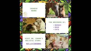 Promotion of Herbal Solutions for Breeders