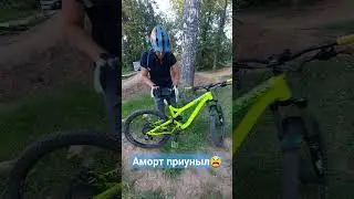 аморт приуныл😫