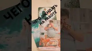 #феникстаро
