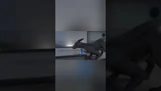 the dolphin came out of the dragon's mouth