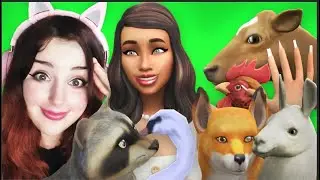 We are creating a real zoo in The Sims 4!