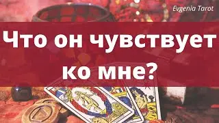 Таро. Что он чувствует ко мне? Его чувства ко мне. Ведический таролог