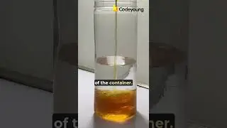 Tell you in the comments below #science #scienceexperiment #shorts #viralvideo #trending #experiment