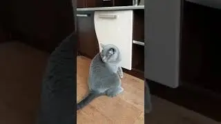 17 октября 2019 г.