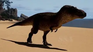 EVRIMA NEWS - DONDI SHOWS UPDATES - T-Rex Juvenile & Adult Sounds, Maia Speed & Abilities, and More!