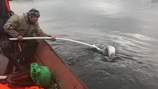 Рыбалка на Сахалине.