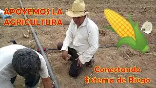 Apoyemos la agricultura PART. 1/3