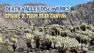 Teddy Bear Canyon: Death Valley Discoveries Ep. 3