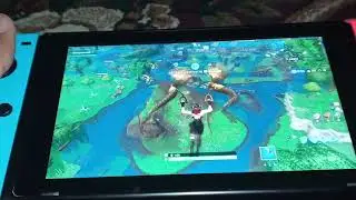 Fortnite On Nintendo Switch (Handcam)
