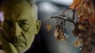 Евгений Дятлов  -  Вечерний звон