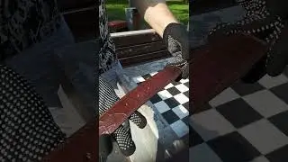 Ремень из кожи живота крокодила коричневый