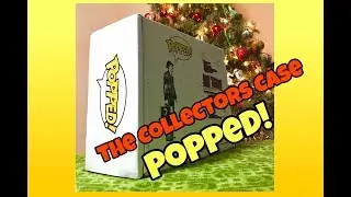 Popped! Case Unboxing November 2017 The Collectors Case