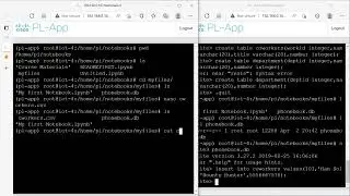 2.5.2.4 Lab - Working With Python and SQLite