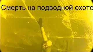 👿Чуть не утонул,Смерть на подводной охоте,сети,браки👺