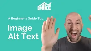 Beginner's Guide to Image Alt Text