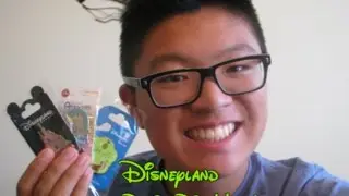 Disneyland Paris Pin Haul!