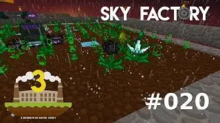 Minecraft FTB [Sky Factory 3] - 