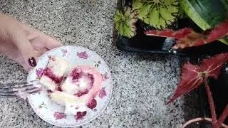 Вишневый пломбир. Вау рулет с дегустацией.