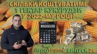 IS THERE ENOUGH MONEY? HOW MUCH WILL ONE HECTARE OF CORN COST IN 2022?