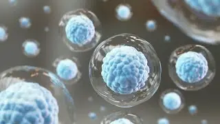 Exocytosis
