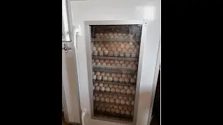 Выводной инкубатор(шкаф). Маленький шаг к длинному пути птицевода.