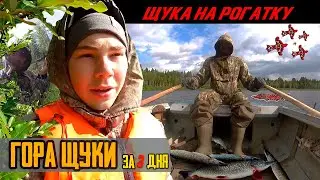 A MOUNTAIN OF PIKE IN 3 DAYS | HOW KOMI FISHERMEN CATCH FISH | Slingshot fishing in the Komi Repu...