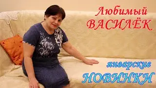 Любимый Василек,Январские новинки,