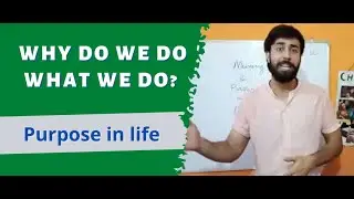 Purpose and Meaning in Life